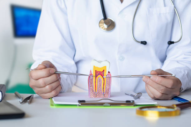 Best Pediatric Emergency Dentist in Farmersville, TX